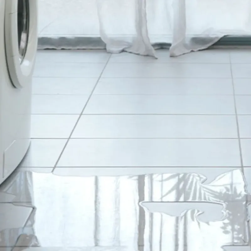 Appliance Leak Cleanup in Brodhead, WI