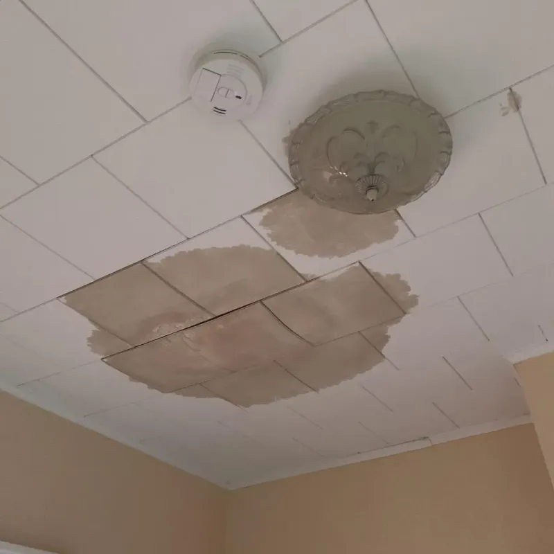 Ceiling Water Damage Repair in Brodhead, WI